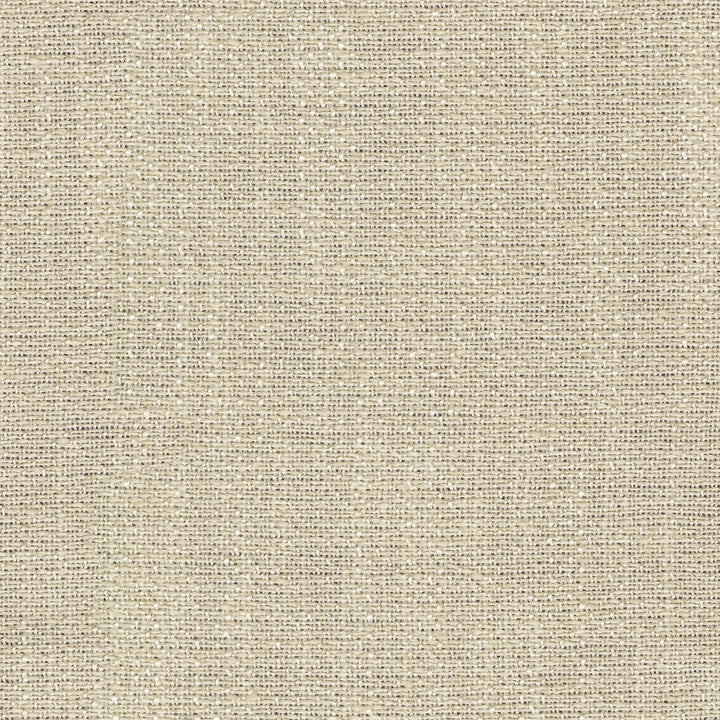 Zachary Sheer Champagne 472452 by PK Lifestyles Designer Fabric Portiere VI 100% Polyester India N/A H: N/A, V: N/A 118 - Swanky Fabrics -