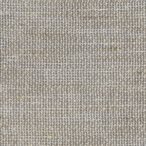 PK Lifestyles Fabric Lucas Sheer Tussah 472460