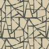 PK Lifestyles Fabric What's Your Angle Charcoal 472512