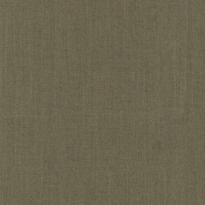 Paxton Woodland 472550 by PK Lifestyles Designer Fabric PKL Studio June 2025 Base: 100% Polyester India 51000 H: N/A, V: N/A 55 - Swanky Fabrics -