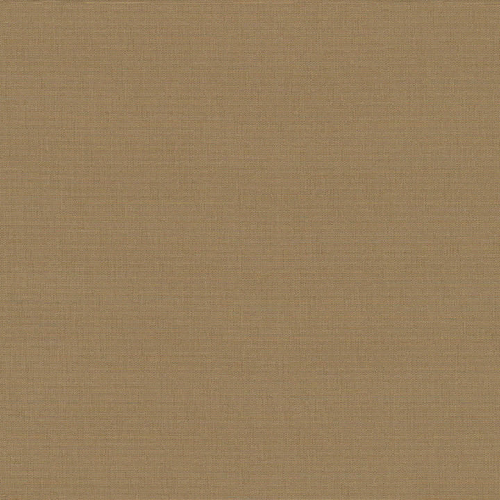 Belcourt Praline 472711 by PK Lifestyles Designer Fabric PKL Studio June 2025 52% Fire Retardant Polyester, 48% Polyester Turkey 18000 H: N/A, V: N/A 57 - Swanky Fabrics -