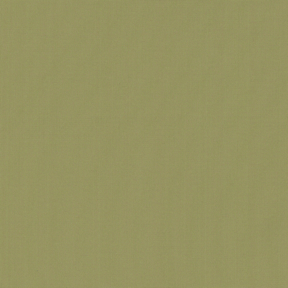 Belcourt Desert Bloom 472713 by PK Lifestyles Designer Fabric PKL Studio June 2025 52% Fire Retardant Polyester, 48% Polyester Turkey 18000 H: N/A, V: N/A 57 - Swanky Fabrics -