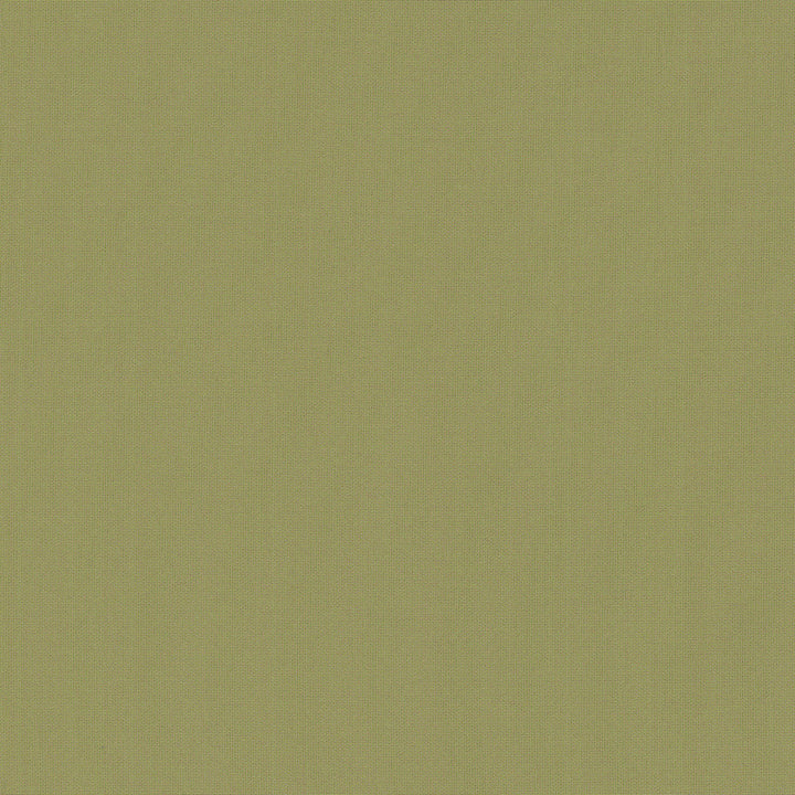 Belcourt Desert Bloom 472713 by PK Lifestyles Designer Fabric PKL Studio June 2025 52% Fire Retardant Polyester, 48% Polyester Turkey 18000 H: N/A, V: N/A 57 - Swanky Fabrics -