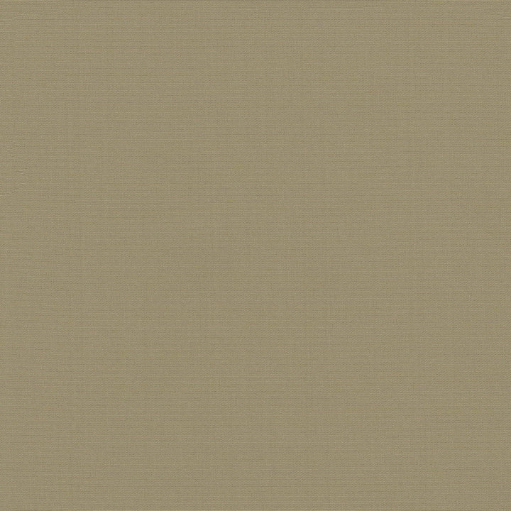 Belcourt Fawn 472714 by PK Lifestyles Designer Fabric PKL Studio June 2025 52% Fire Retardant Polyester, 48% Polyester Turkey 18000 H: N/A, V: N/A 57 - Swanky Fabrics -
