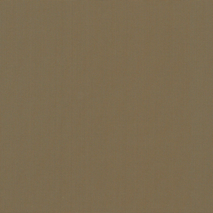 Belcourt Hoizon 472715 by PK Lifestyles Designer Fabric PKL Studio June 2025 52% Fire Retardant Polyester, 48% Polyester Turkey 18000 H: N/A, V: N/A 57 - Swanky Fabrics -