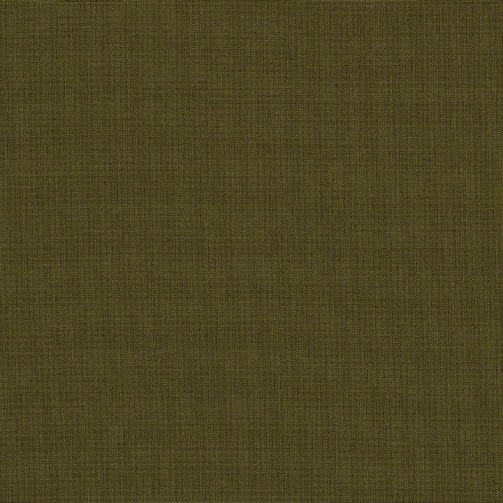 Belcourt Pyrite 472718 by PK Lifestyles Designer Fabric PKL Studio June 2025 52% Fire Retardant Polyester, 48% Polyester Turkey 18000 H: N/A, V: N/A 57 - Swanky Fabrics -