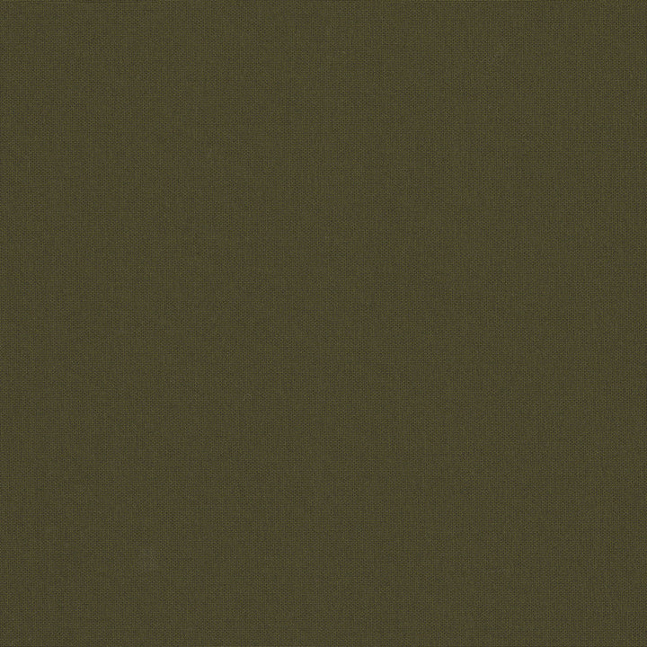 Belcourt Firefly 472719 by PK Lifestyles Designer Fabric PKL Studio June 2025 52% Fire Retardant Polyester, 48% Polyester Turkey 18000 H: N/A, V: N/A 57 - Swanky Fabrics -