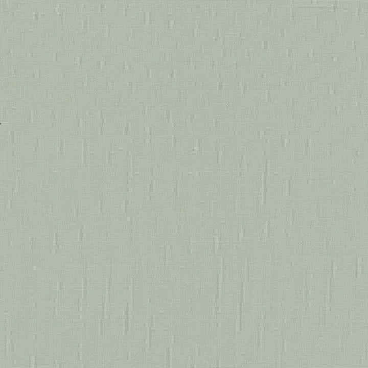 Belcourt Fog 472722 by PK Lifestyles Designer Fabric PKL Studio June 2025 52% Fire Retardant Polyester, 48% Polyester Turkey 18000 H: N/A, V: N/A 57 - Swanky Fabrics -
