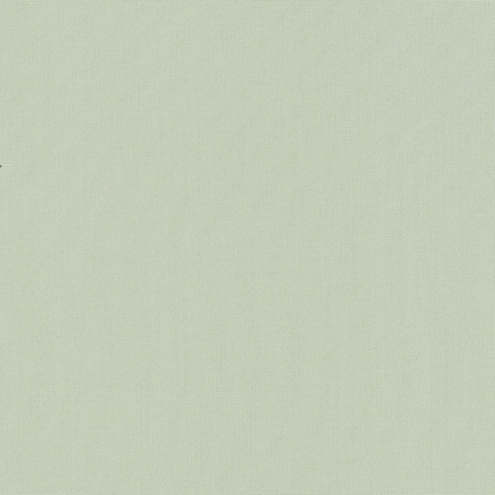 Belcourt Bamboo 472724 by PK Lifestyles Designer Fabric PKL Studio June 2025 52% Fire Retardant Polyester, 48% Polyester Turkey 18000 H: N/A, V: N/A 57 - Swanky Fabrics -