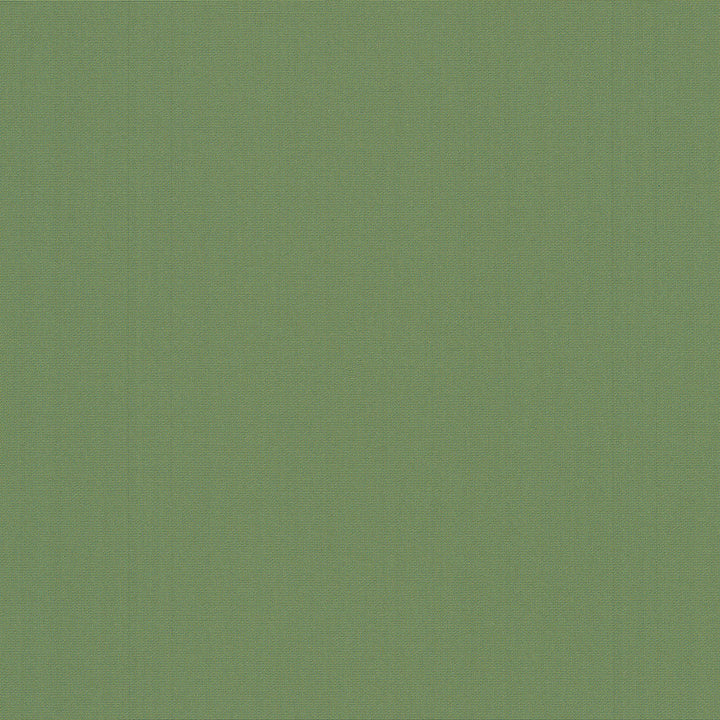 Belcourt Leaf 472725 by PK Lifestyles Designer Fabric PKL Studio June 2025 52% Fire Retardant Polyester, 48% Polyester Turkey 18000 H: N/A, V: N/A 57 - Swanky Fabrics -