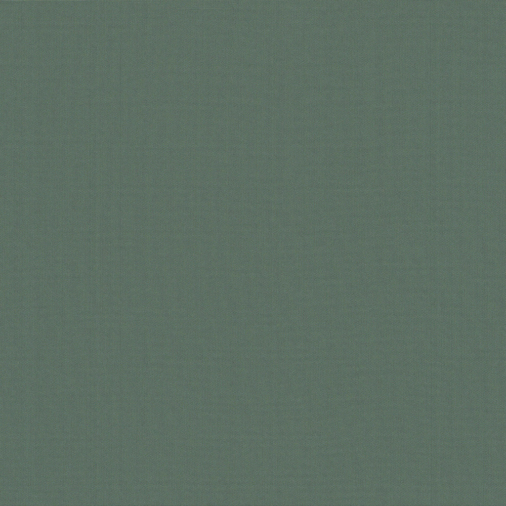 Belcourt Blue Agave 472728 by PK Lifestyles Designer Fabric PKL Studio June 2025 52% Fire Retardant Polyester, 48% Polyester Turkey 18000 H: N/A, V: N/A 57 - Swanky Fabrics -