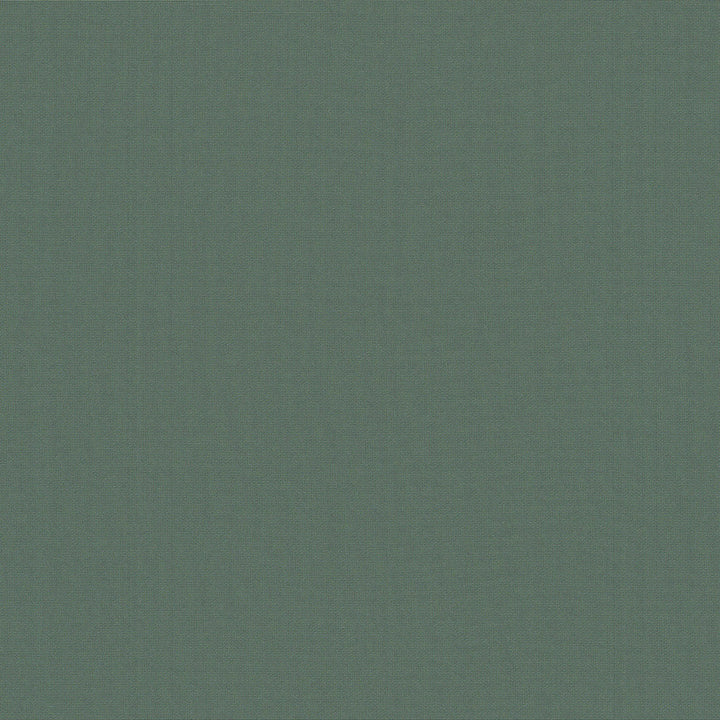 Belcourt Blue Agave 472728 by PK Lifestyles Designer Fabric PKL Studio June 2025 52% Fire Retardant Polyester, 48% Polyester Turkey 18000 H: N/A, V: N/A 57 - Swanky Fabrics -