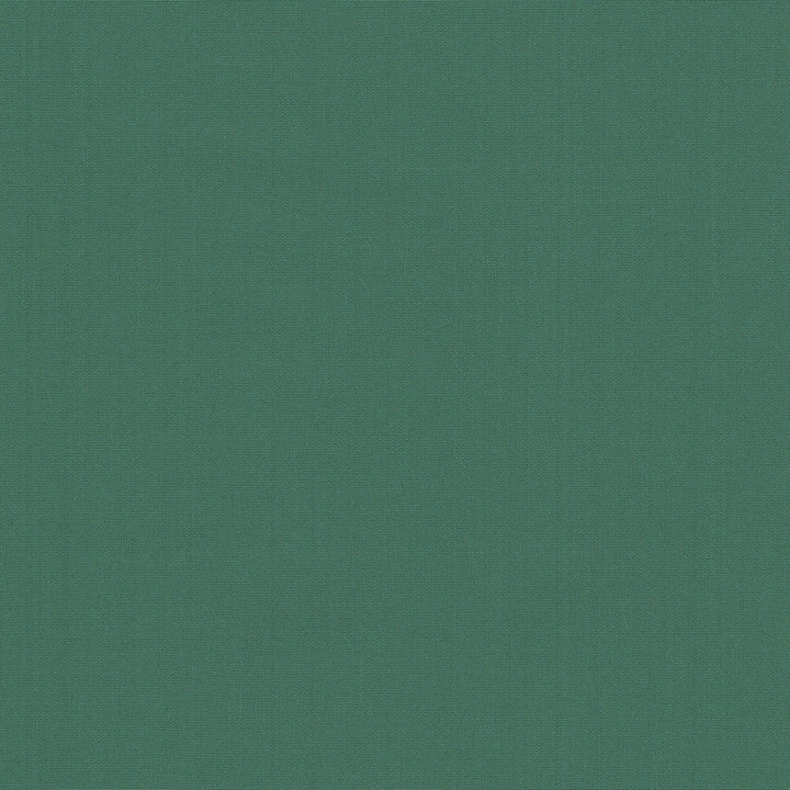 Belcourt Aquamarine 472729 by PK Lifestyles Designer Fabric PKL Studio June 2025 52% Fire Retardant Polyester, 48% Polyester Turkey 18000 H: N/A, V: N/A 57 - Swanky Fabrics -
