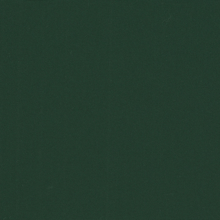 Belcourt Balsam 472730 by PK Lifestyles Designer Fabric PKL Studio June 2025 52% Fire Retardant Polyester, 48% Polyester Turkey 18000 H: N/A, V: N/A 57 - Swanky Fabrics -