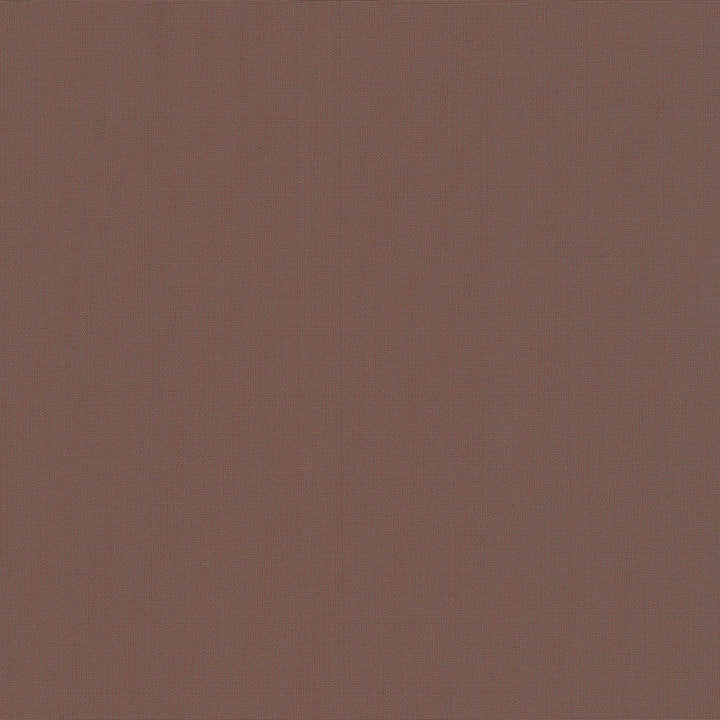 Belcourt Orchid 472739 by PK Lifestyles Designer Fabric PKL Studio June 2025 52% Fire Retardant Polyester, 48% Polyester Turkey 18000 H: N/A, V: N/A 57 - Swanky Fabrics -