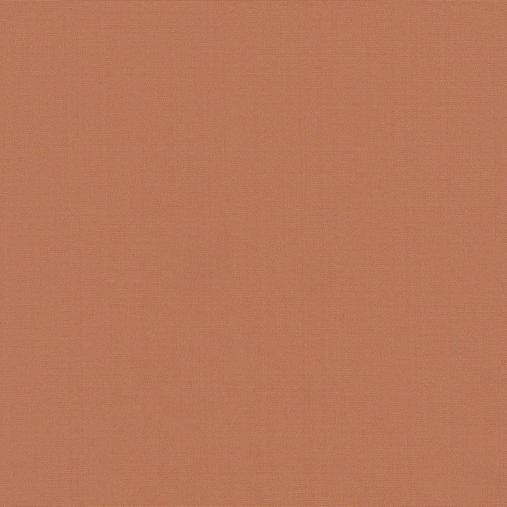 Belcourt Papaya 472745 by PK Lifestyles Designer Fabric PKL Studio June 2025 52% Fire Retardant Polyester, 48% Polyester Turkey 18000 H: N/A, V: N/A 57 - Swanky Fabrics -