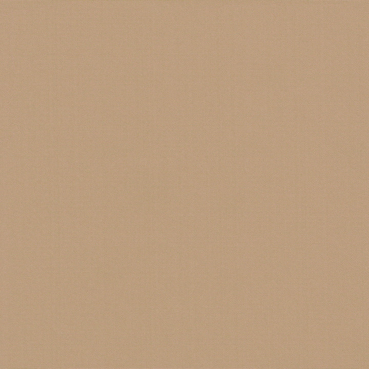Belcourt Peach 472748 by PK Lifestyles Designer Fabric PKL Studio June 2025 52% Fire Retardant Polyester, 48% Polyester Turkey 18000 H: N/A, V: N/A 57 - Swanky Fabrics -