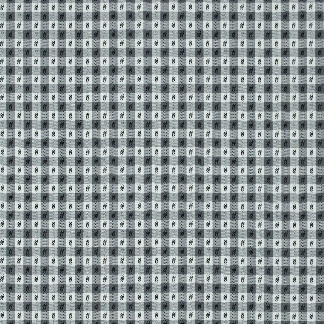 Rosalie Check Domino 473268 by PKL Studio Designer Fabric - 100% Cotton India 40000 Horizontal: .750" and Vertical: .750" 54 - Swanky Fabrics -