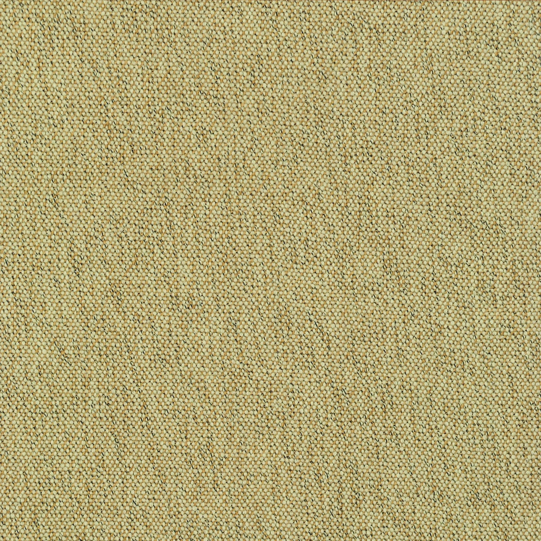 Cody Praline 473301 by PKL Studio Designer Fabric - 100% Polyester India 51000 Horizontal: .000" and Vertical: .000" 55 - Swanky Fabrics -