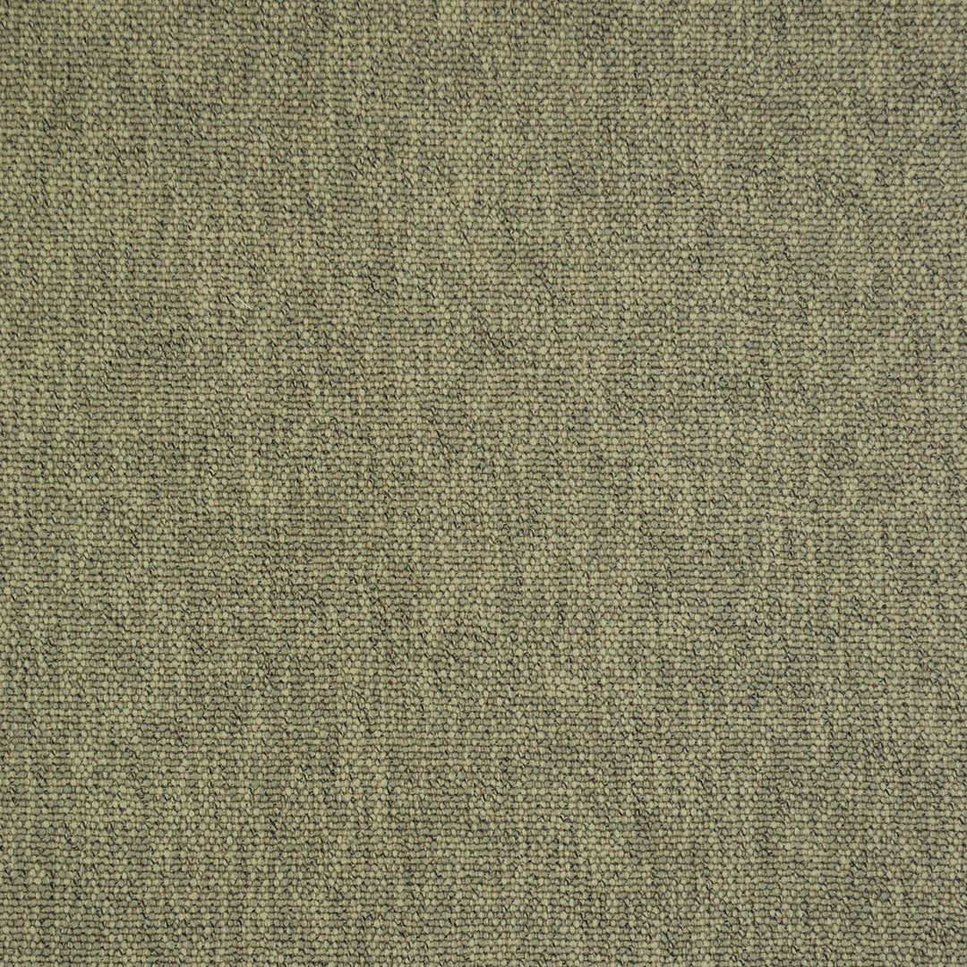 Cody Mushroom 473303 by PKL Studio Designer Fabric - 100% Polyester India 51000 Horizontal: .000" and Vertical: .000" 55 - Swanky Fabrics -