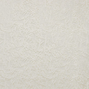 Kravet Fabric 4738-1