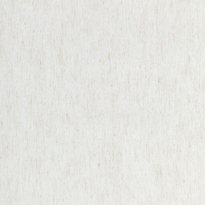Kravet Fabric 4806-101