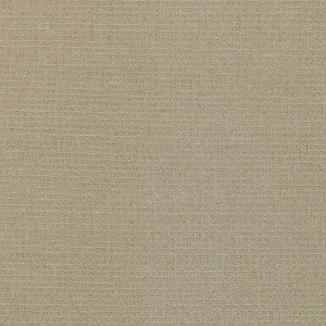 Kravet Fabric 4807-116