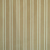 PKL Studio Fabric Velveteen Stripe Sand 480835