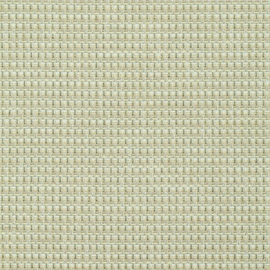Cabana Papyrus 480916 by PKL Studio Designer Fabric - 54% Polyester 46% Cotton India 51000 Horizontal: .375" and Vertical: .375" 55 - Swanky Fabrics -