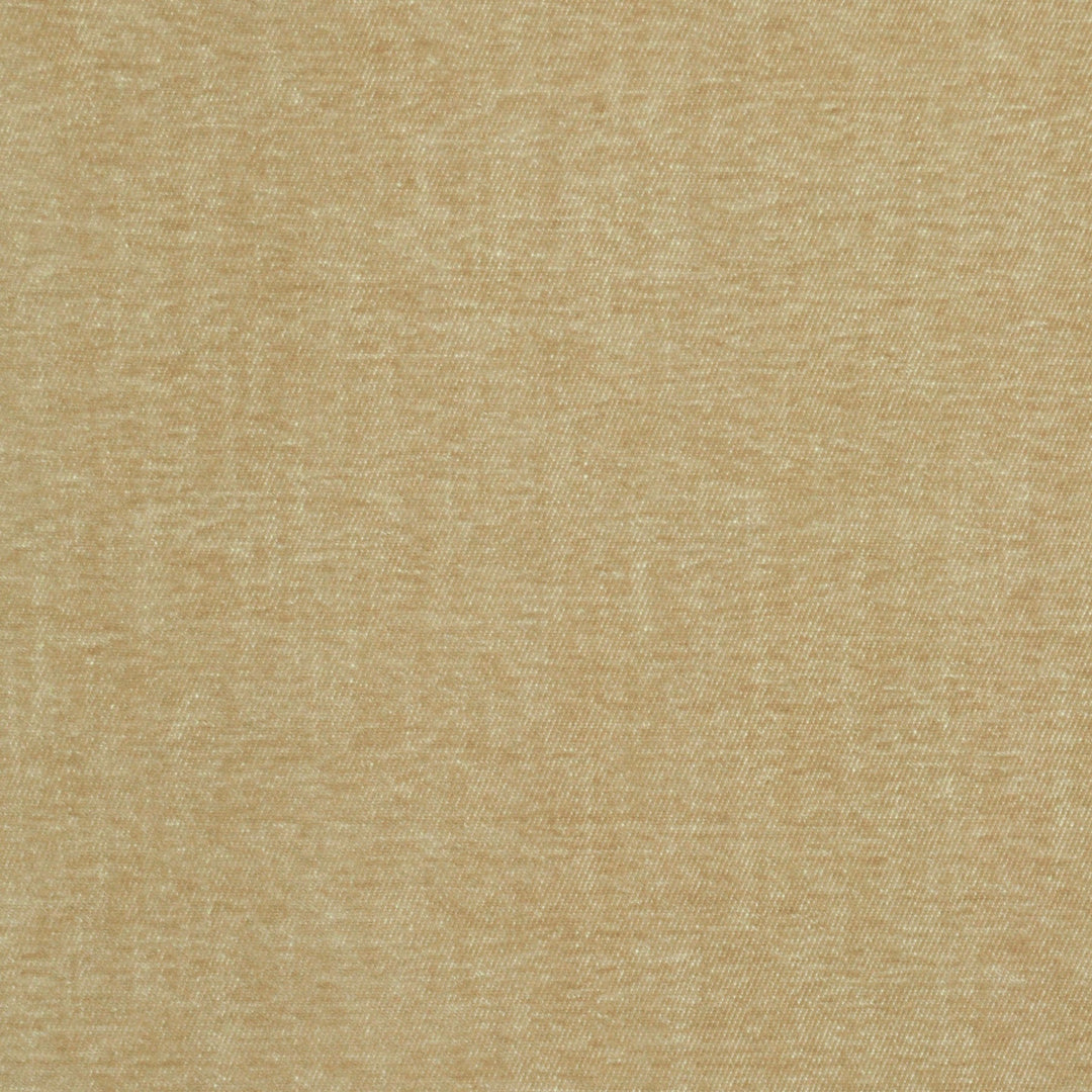 Perf Serenity Sand 480960 by PKL Studio Designer Fabric - 77% Polyester 23% Cotton India 51000 Horizontal: .000" and Vertical: .000" 54 - Swanky Fabrics -