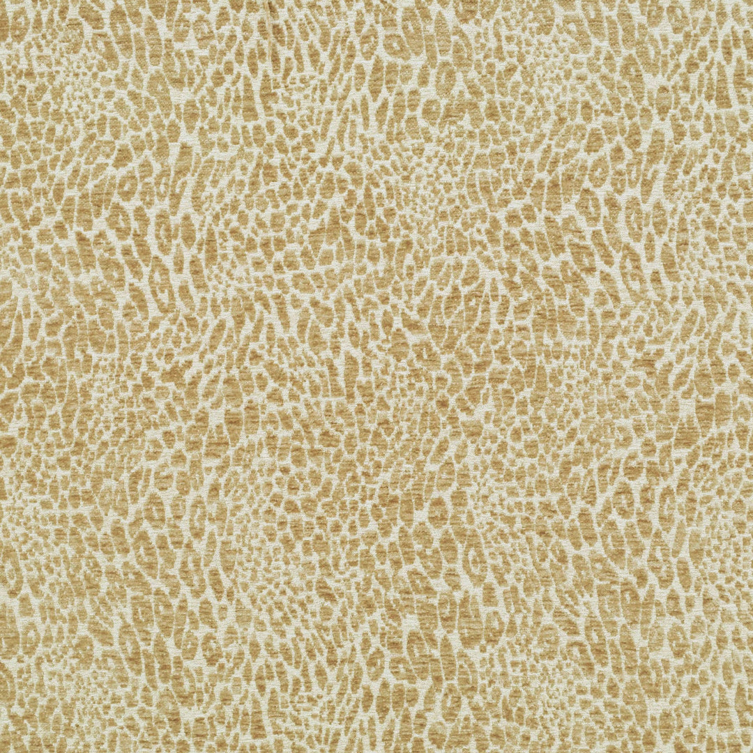 Pridelands Sand 481020 by PKL Studio Designer Fabric - 100% Polyester China 51000 Horizontal: 13.500" and Vertical: 18.500" 55 - Swanky Fabrics -