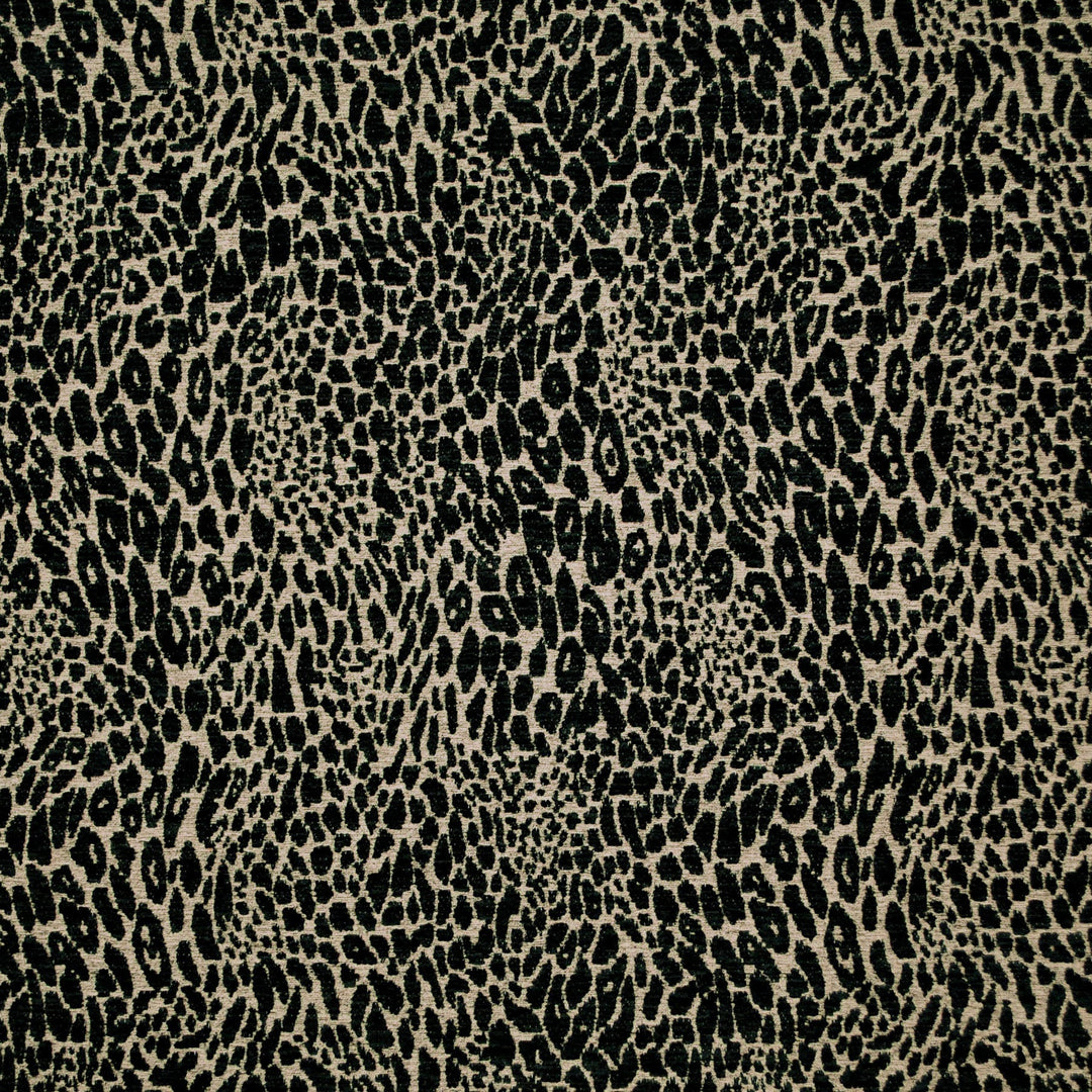 Pridelands Sable 481022 by PKL Studio Designer Fabric - 100% Polyester China 51000 Horizontal: 13.500" and Vertical: 18.500" 55 - Swanky Fabrics -