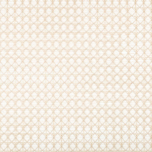 Kravet Fabric Intersecting Flax