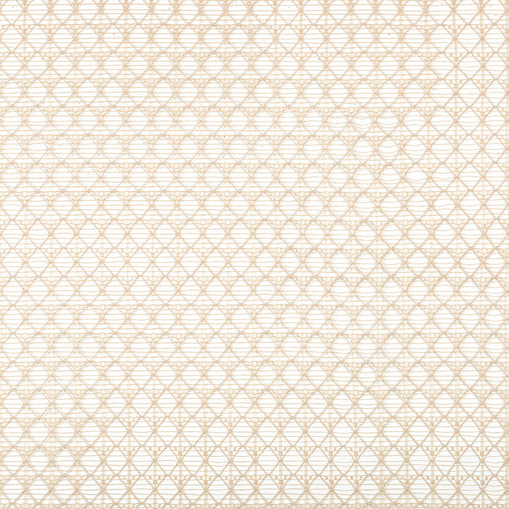 Intersecting Flax by Kravet Contract Fabric Kravet Contract Fabric Intersecting FlaxFabric POLYESTER - 100% Turkey </p><p>Repeat: H: 1, V: 1 109 - Fabric Carolina -