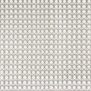 Kravet Fabric Intersecting Ore