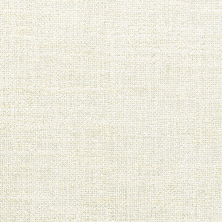 Kravet Basics 4853-1 by Kravet Basics Fabric Kravet Basics Fabric Kravet Basics 4853-1Fabric POLYESTER - 100% India </p><p>Repeat: H: 0, V: 0 54 - Fabric Carolina -