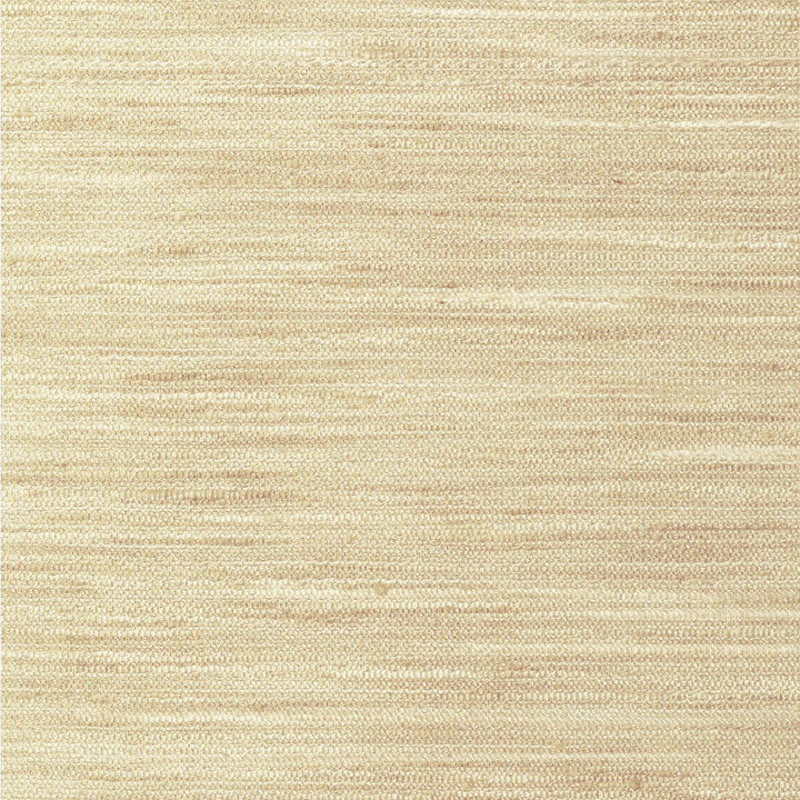 4854-1116 by Kravet Basics Designer Fabric POLYESTER - 100% India Horizontal: 0 and Vertical: 0 54 - Swanky Fabrics -