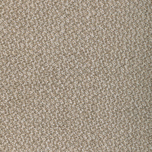 Kravet Fabric Pebbly Barley
