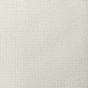 Kravet Fabric 4920-101