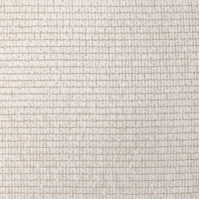 4921.1101.0 by Kravet Fabric Kravet Fabric 4921.1101.0Fabric POLYESTER - 92%;COTTON - 8% Turkey </p><p>Repeat: H: 0, V: 0 115 - Fabric Carolina -