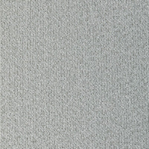 Kravet Fabric 4923-2111