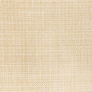 Kravet Fabric Luma Texture Desert