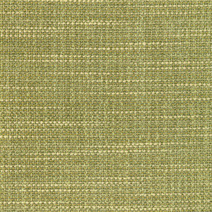 Kravet Fabric Luma Texture Cactus