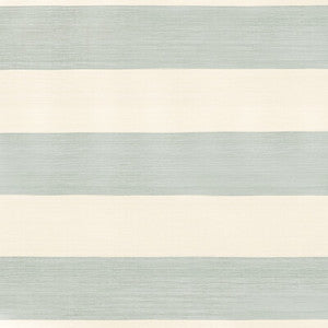 Kravet Fabric Line Drawn Mist