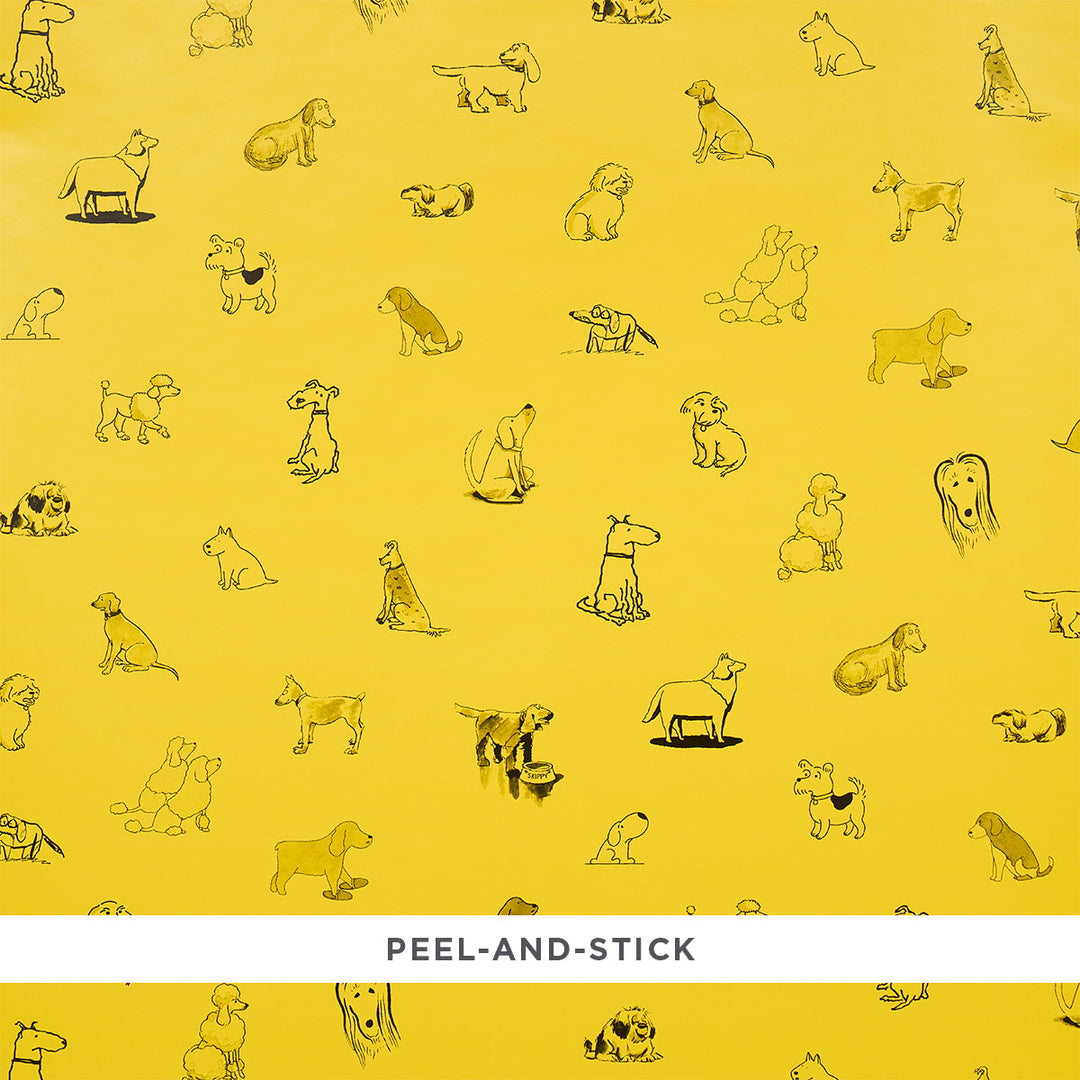 Schumacher Wallcovering Good Dogs Everywhere - Taxi-Cab Yellow