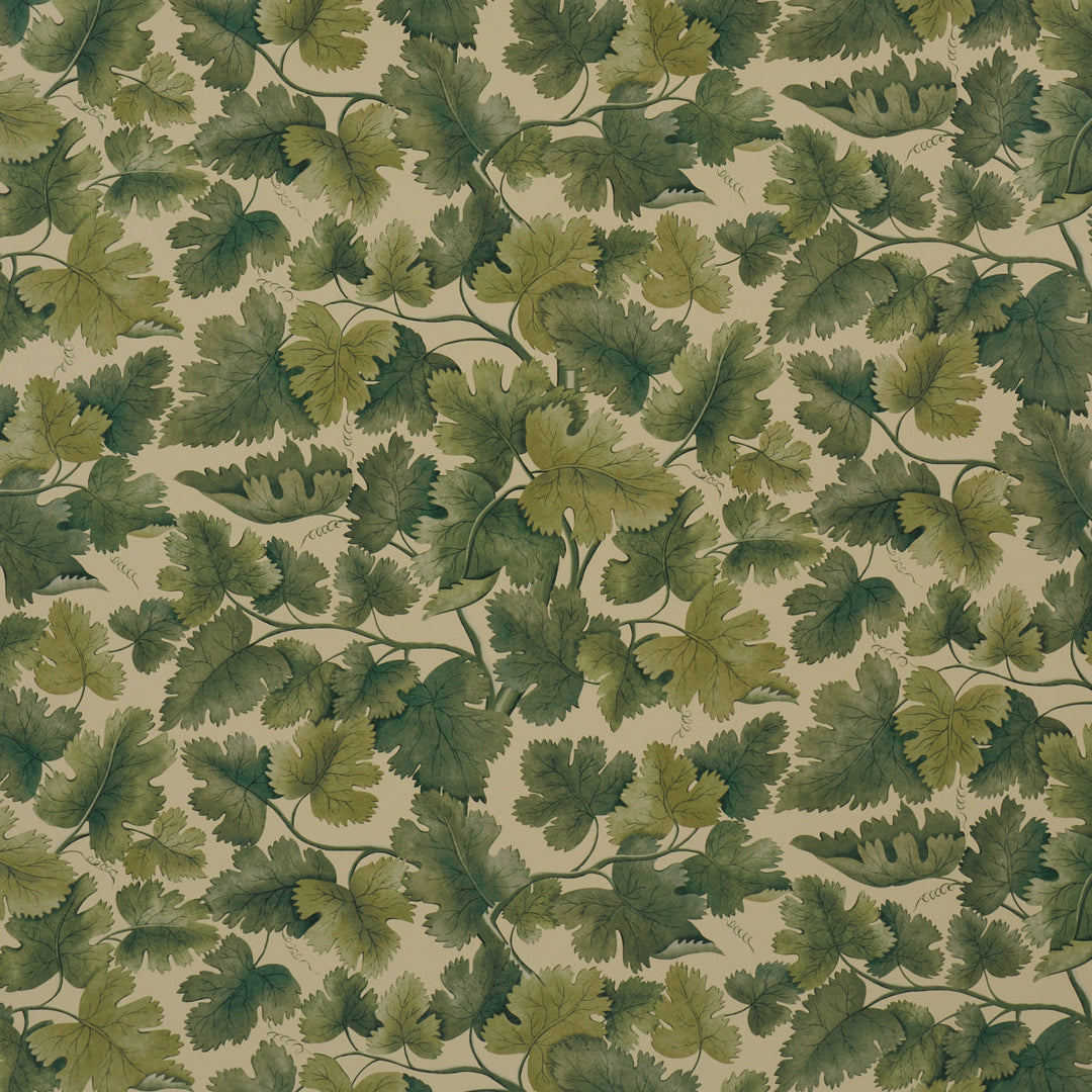 Schumacher Wallcovering Edinburgh Vine - Forest