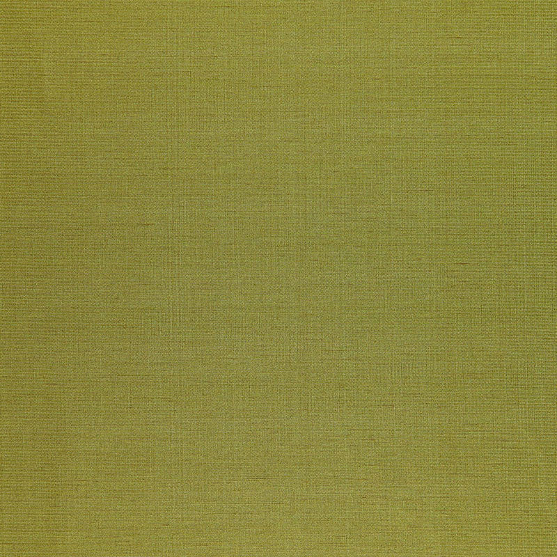 Poiret Satin Vert 50446 by Schumacher Designer Fabric MODERN GLAMOUR SILK 58% LINEN 42% INDIA WYZENBEEK 2,000 </p><p>Repeat: Horizontal: and Vertical: 55 - Swanky Fabrics -