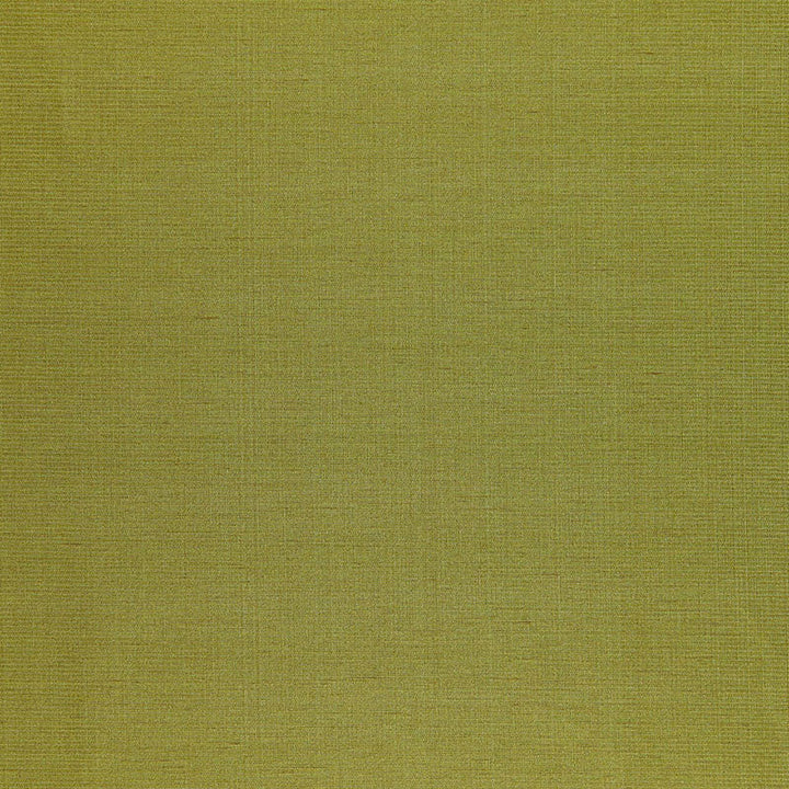 Poiret Satin Vert 50446 by Schumacher Designer Fabric MODERN GLAMOUR SILK 58% LINEN 42% INDIA WYZENBEEK 2,000 </p><p>Repeat: Horizontal: and Vertical: 55 - Swanky Fabrics -