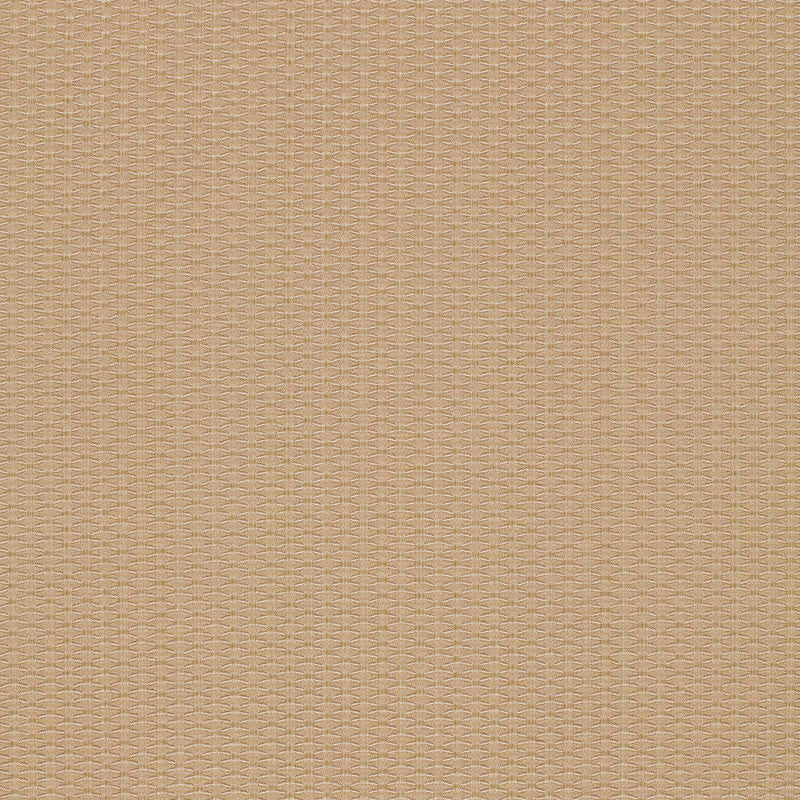 Cellini Texture Beige 51457 by Schumacher Fabric Schumacher Fabric Cellini Texture Beige 51457Fabric POLYESTER 44% ITALY </p><p>Repeat: H: HORZ. 1/2" (1CM) , V: VERT. 1/4" (1CM) 55.625 - Fabric Carolina -