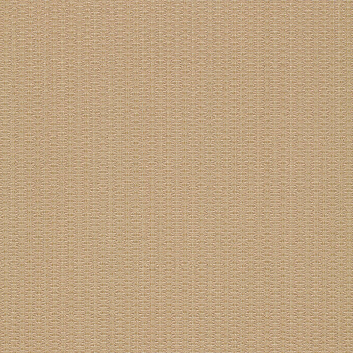 Cellini Texture Beige 51457 by Schumacher Designer Fabric OPULENT TEXTURES See Sample ITALY MEDIUM DUTY </p><p>Repeat: Horizontal: 1/2" (1CM) and Vertical: 1/4" (1CM) 55 5/8" WIDE (141CM) - Swanky Fabrics -